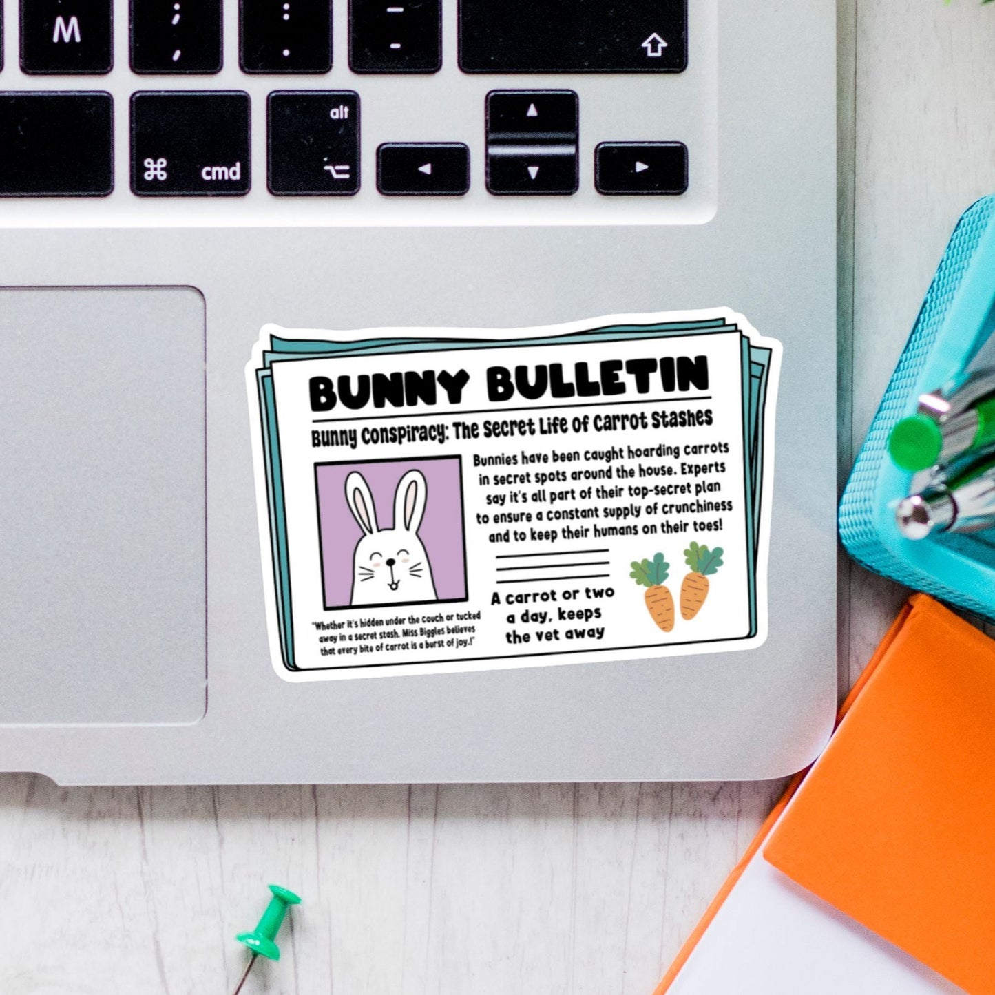 Bunny Bulletin Newspaper